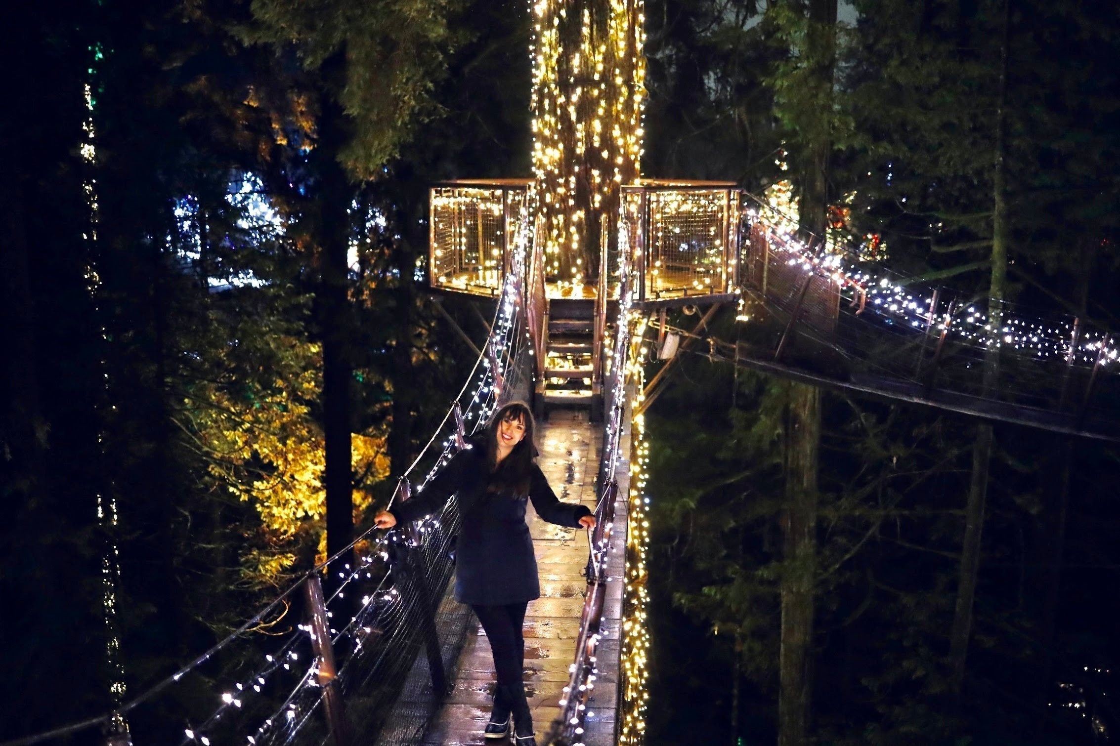 Capilano Canyon Lights: Holiday Edition