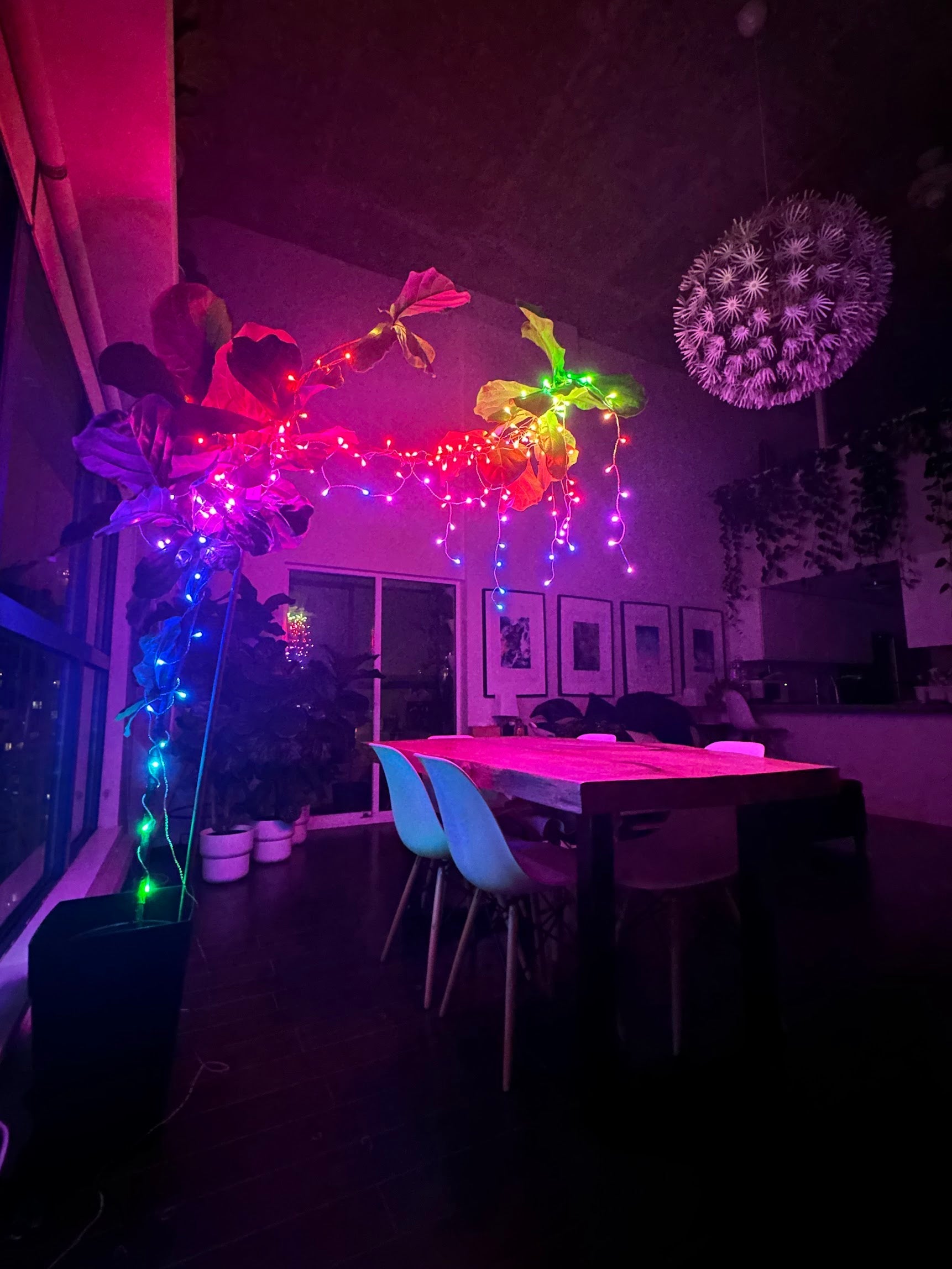 Thank You Twinkly For The Coolest Smart Lights Ever