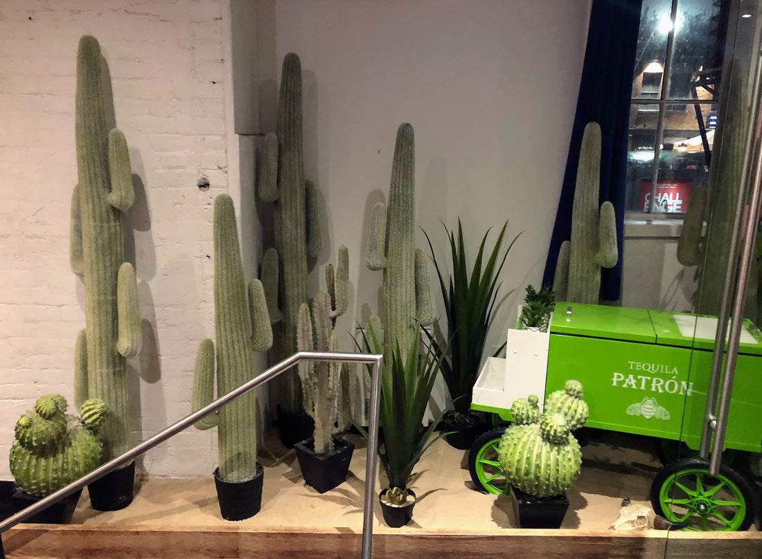Patron Cinco De Mayo Party