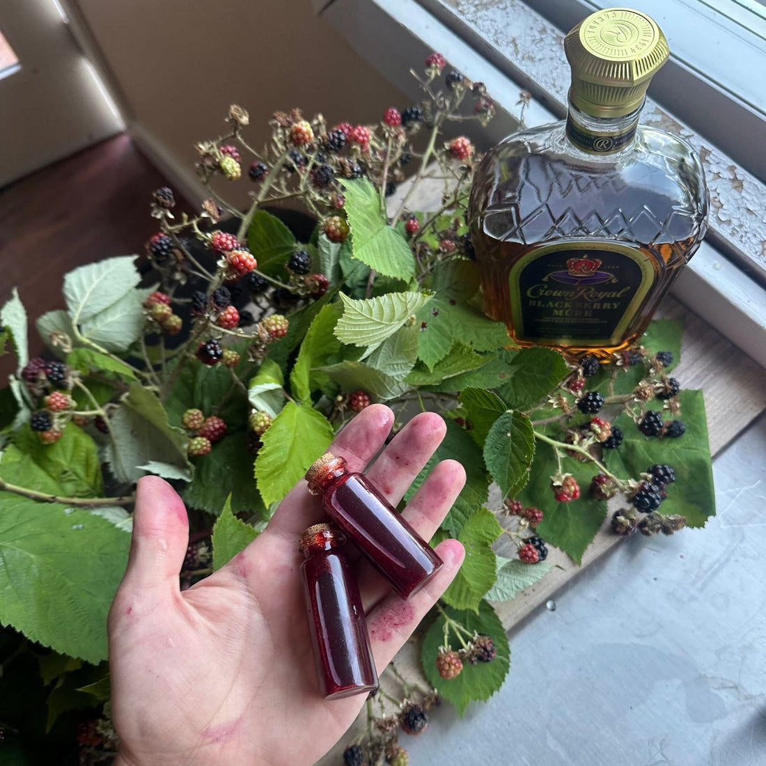 Cocktail & Canapé Contest - Canada Edition