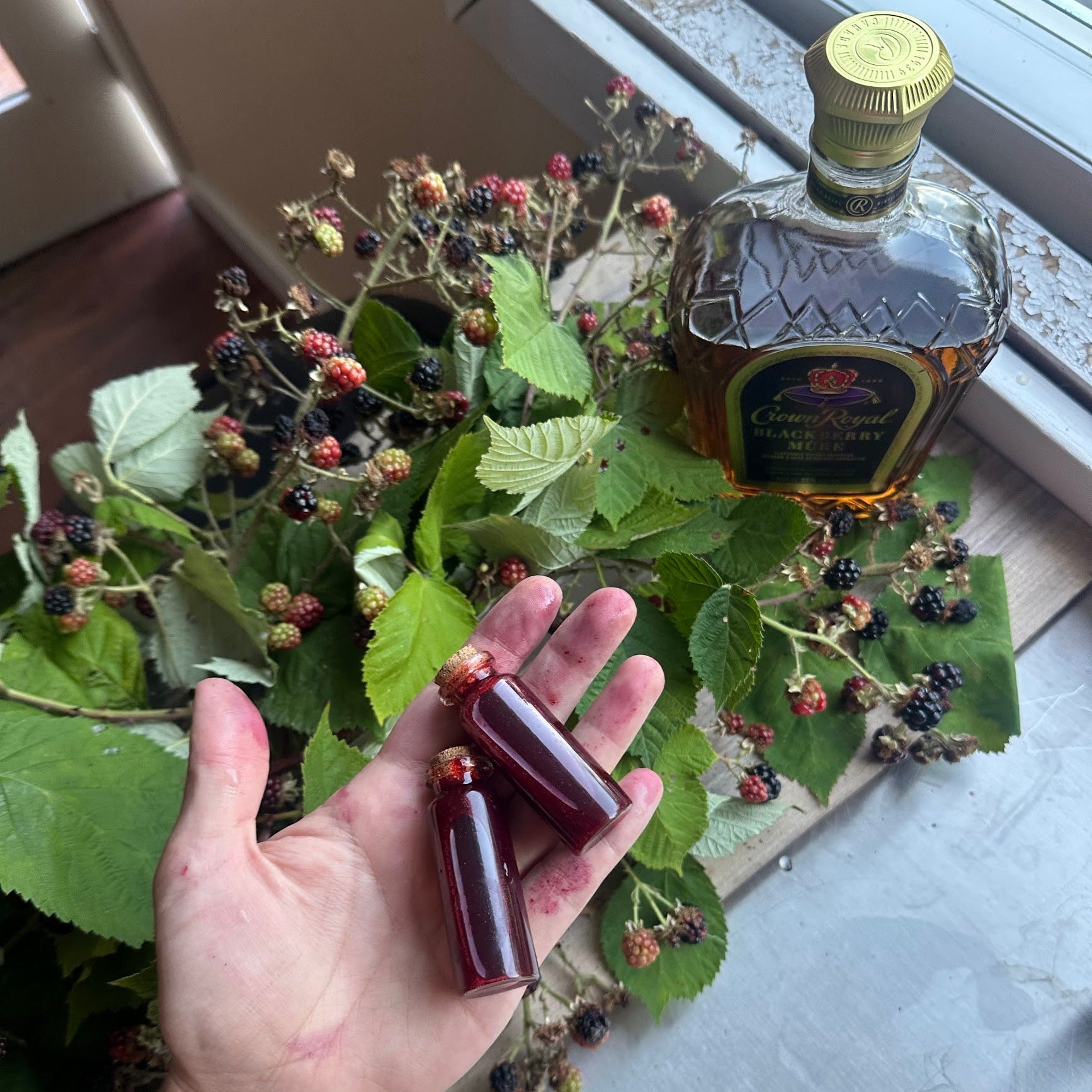 Cocktail & Canapé Contest - Canada Edition