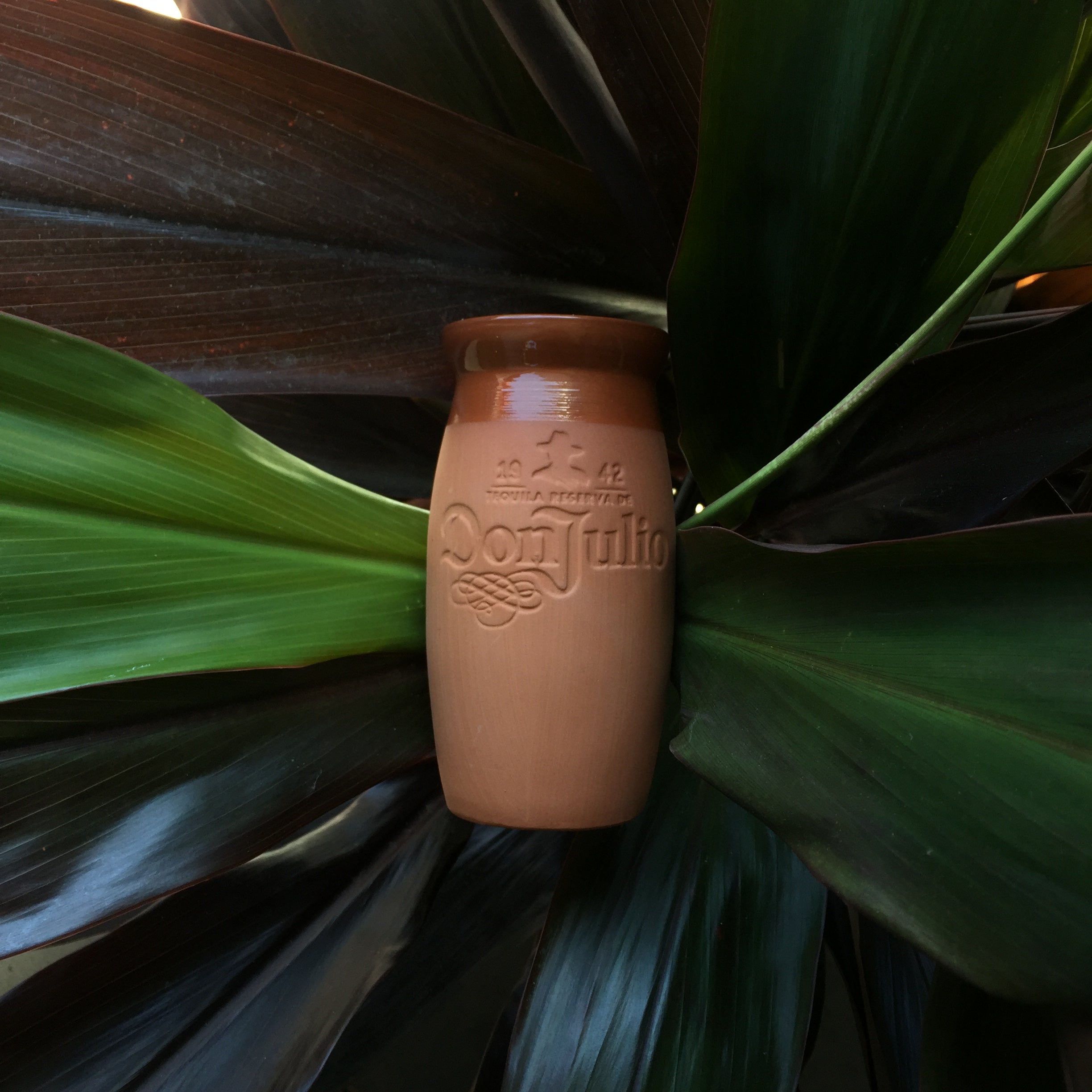 Thank you for my new set of cups Don Julio!