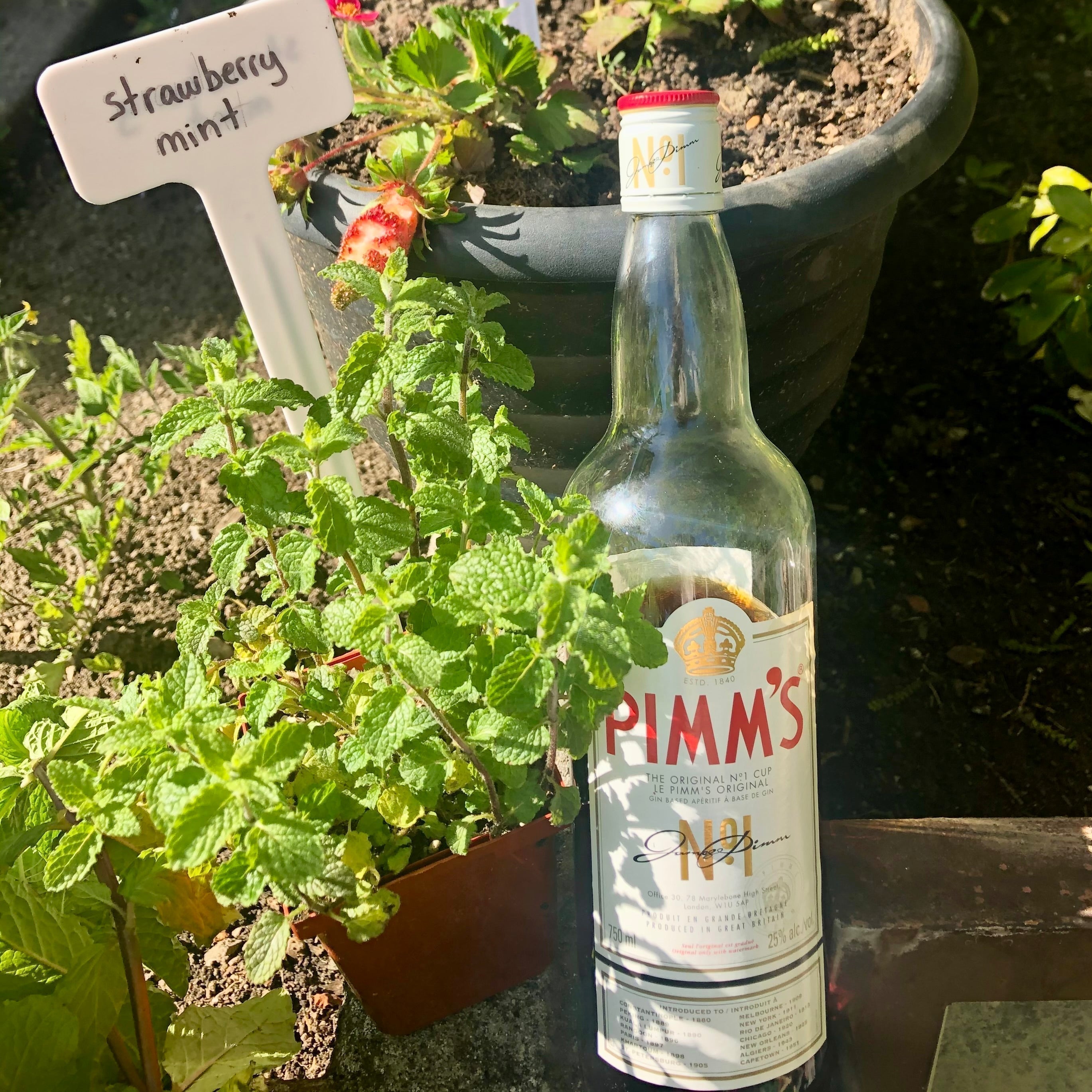 I had an idea for a retail gift with purchase for alcohol companies