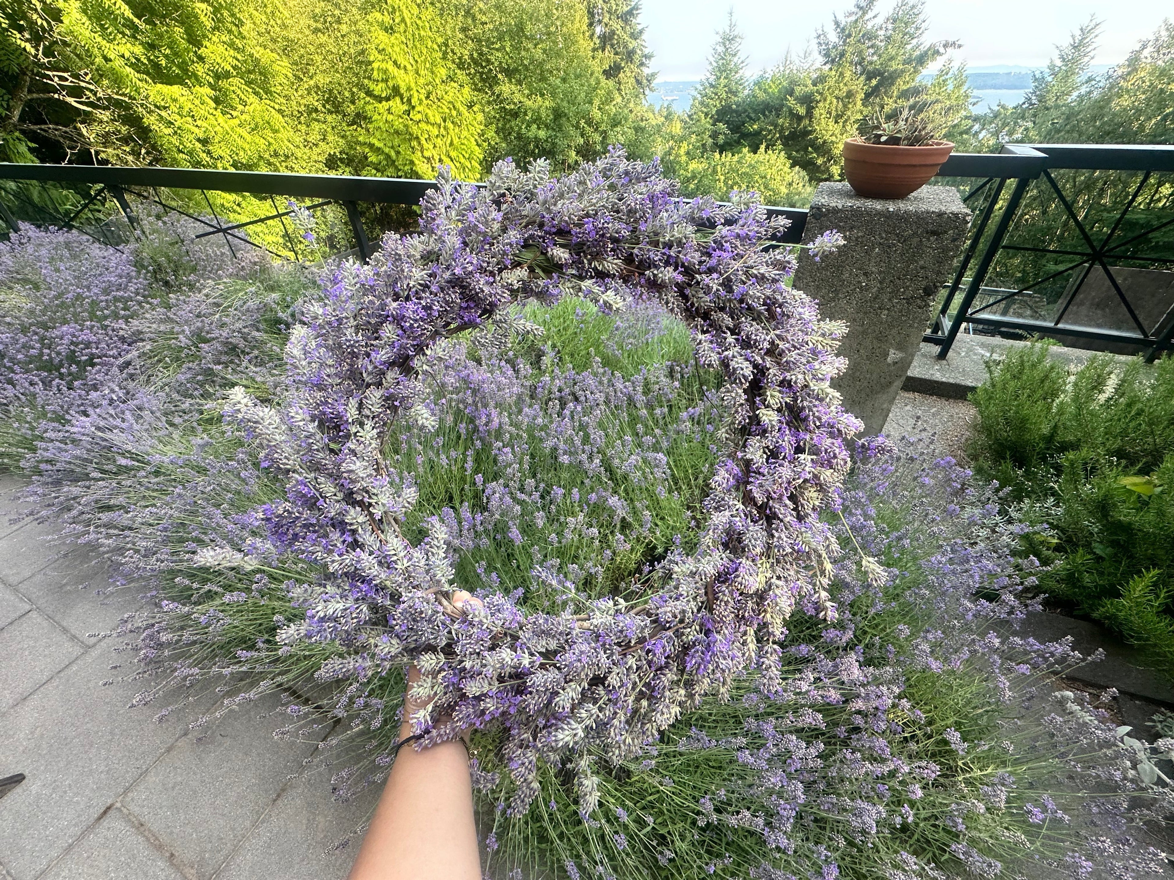 I DIY’d a lavender wreath