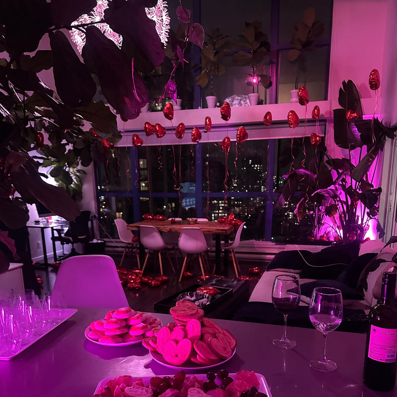 Evelyn’s 3rd Valentines Party for Single People
