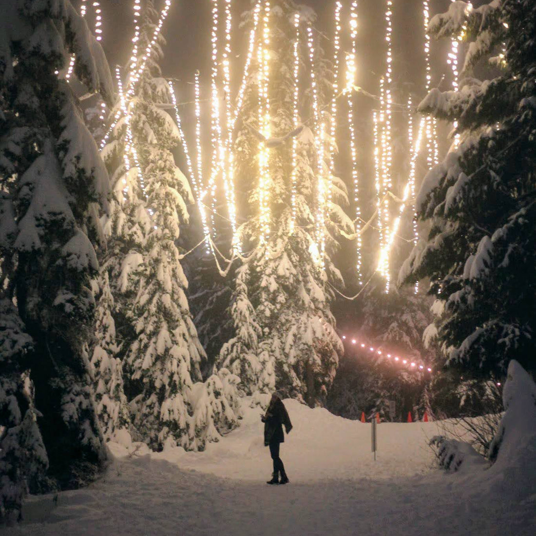 Grouse Mountain: Peak of Vancouver