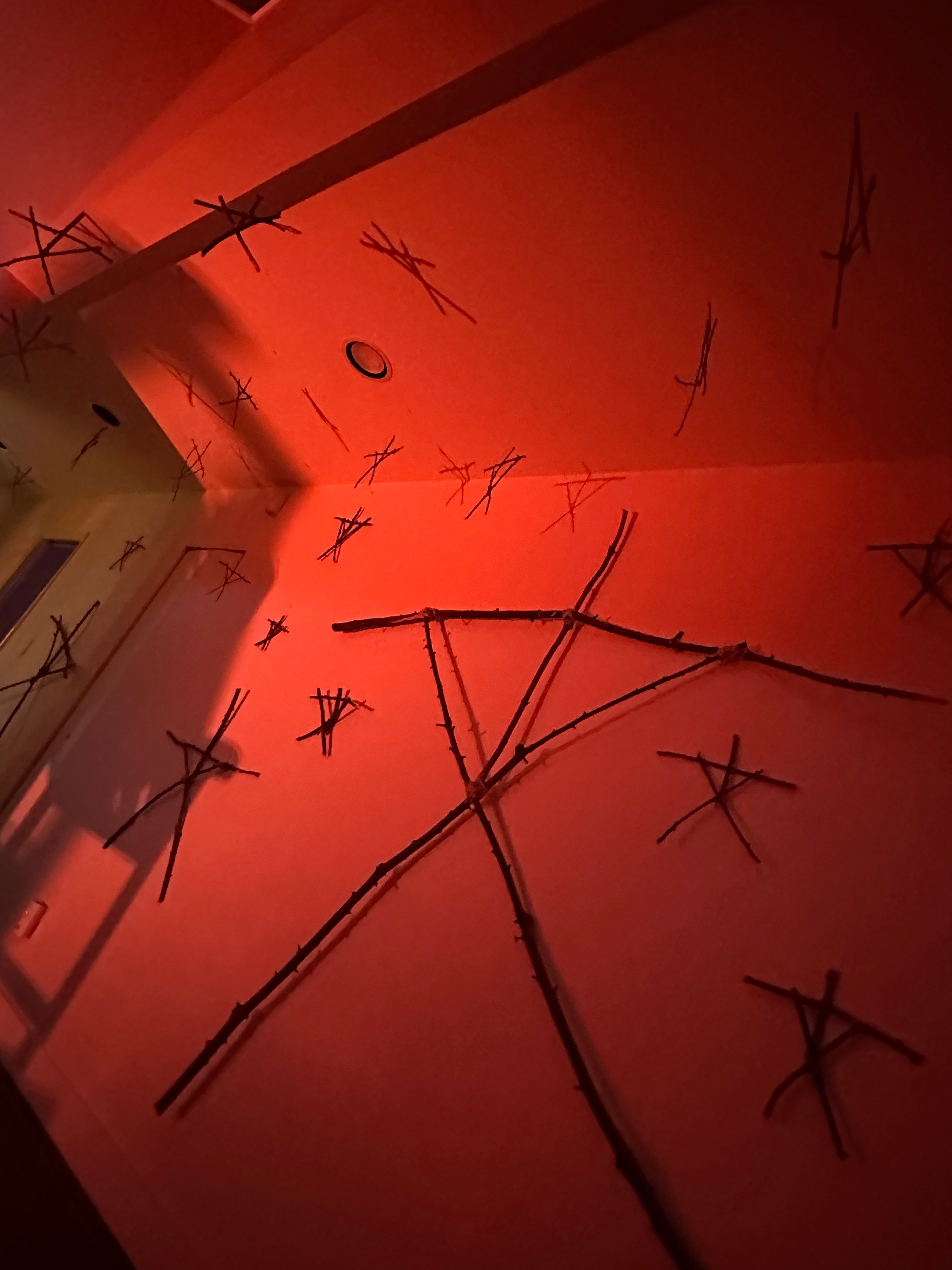 Red wall with black sticks arranged in a pattern