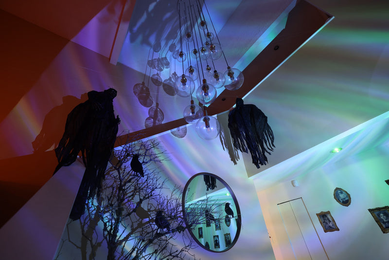A decorative interior scene with a chandelier, colorful projected light on the ceiling, black raven silhouettes hanging from a beam, a bare tree branch sculpture, and a round mirror reflecting the room.