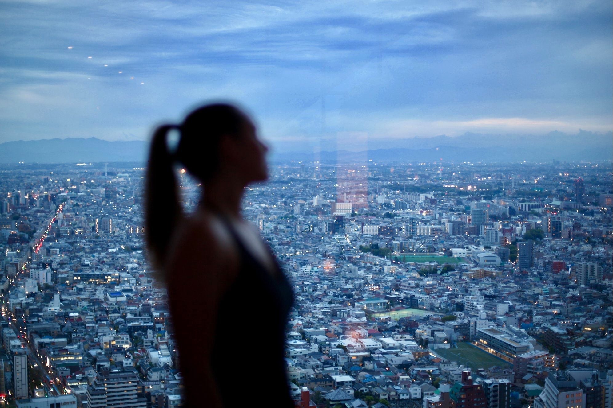 Evelyn Martin Park Hyatt Tokyo Hero Wide Blue