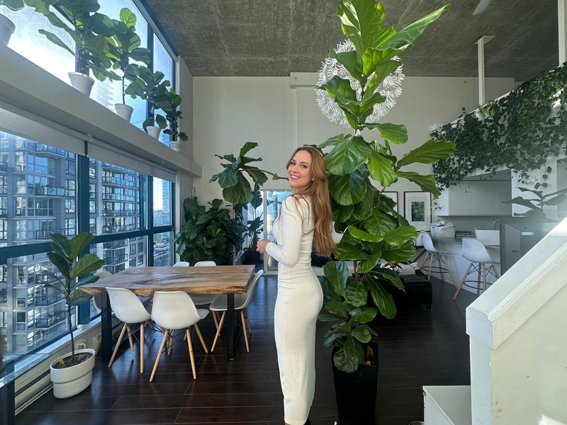 The Fiddle Leaf Lady