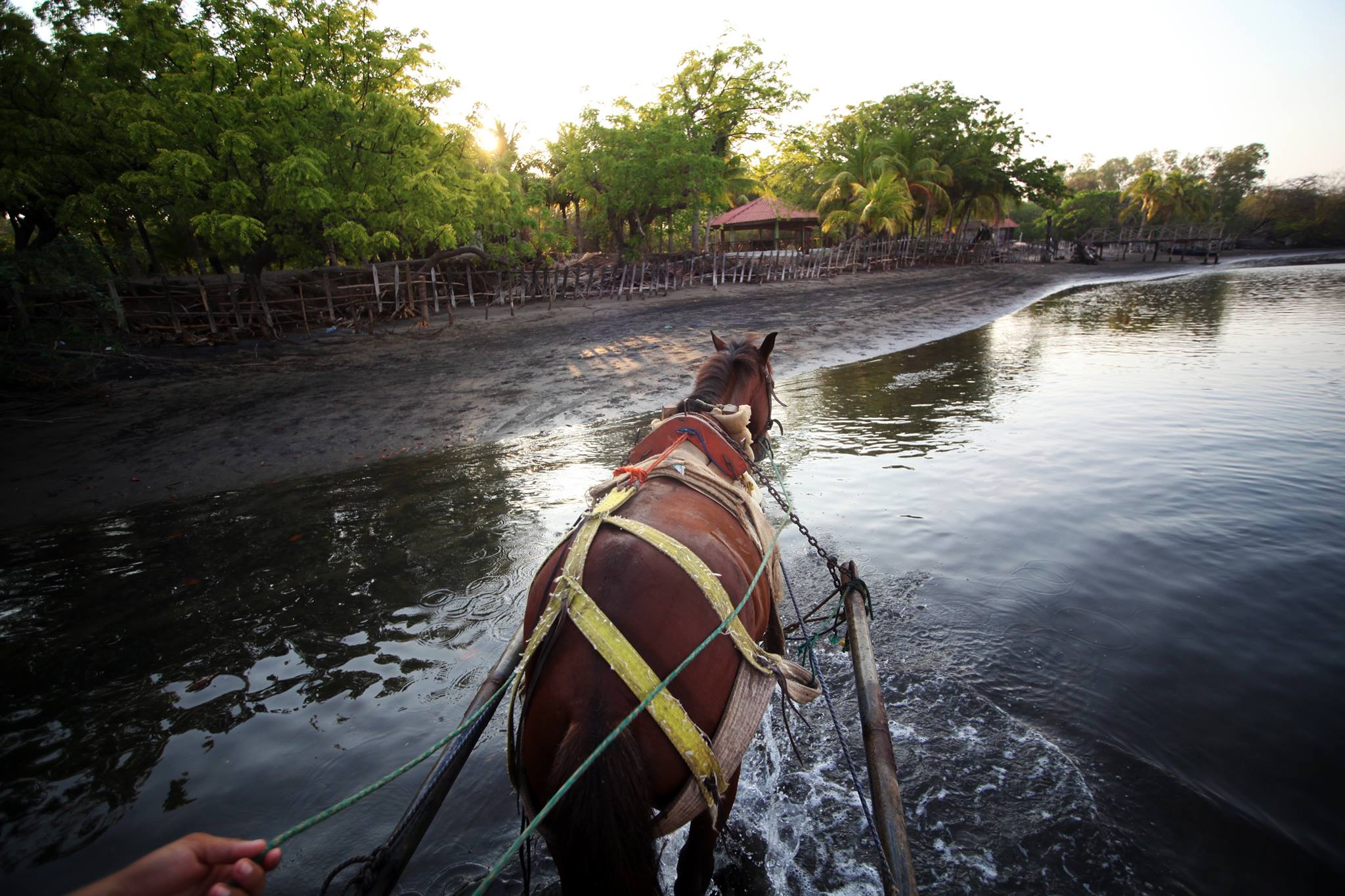 Surfing Turtle Lodge, Nicaragua