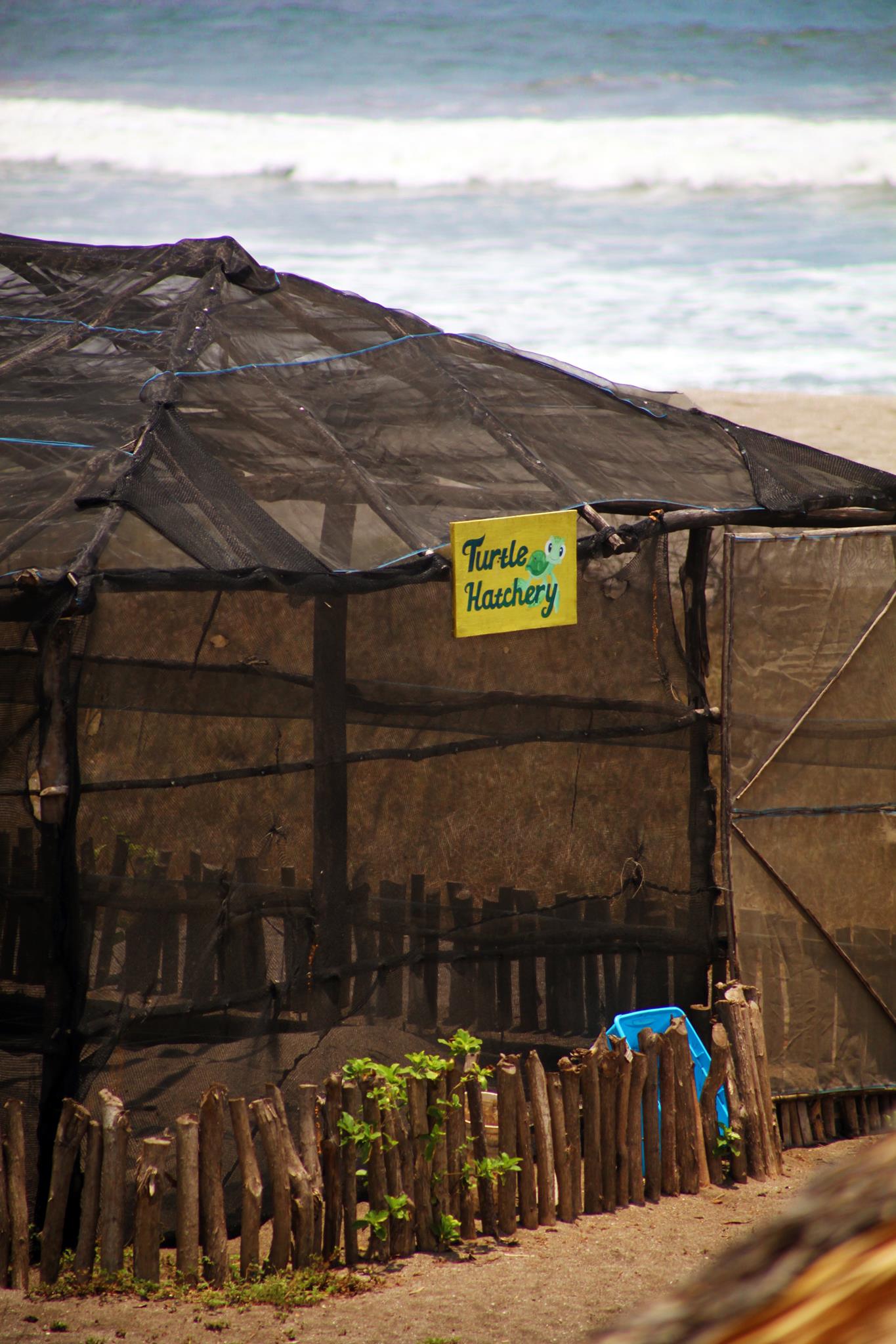 Surfing Turtle Lodge, Nicaragua