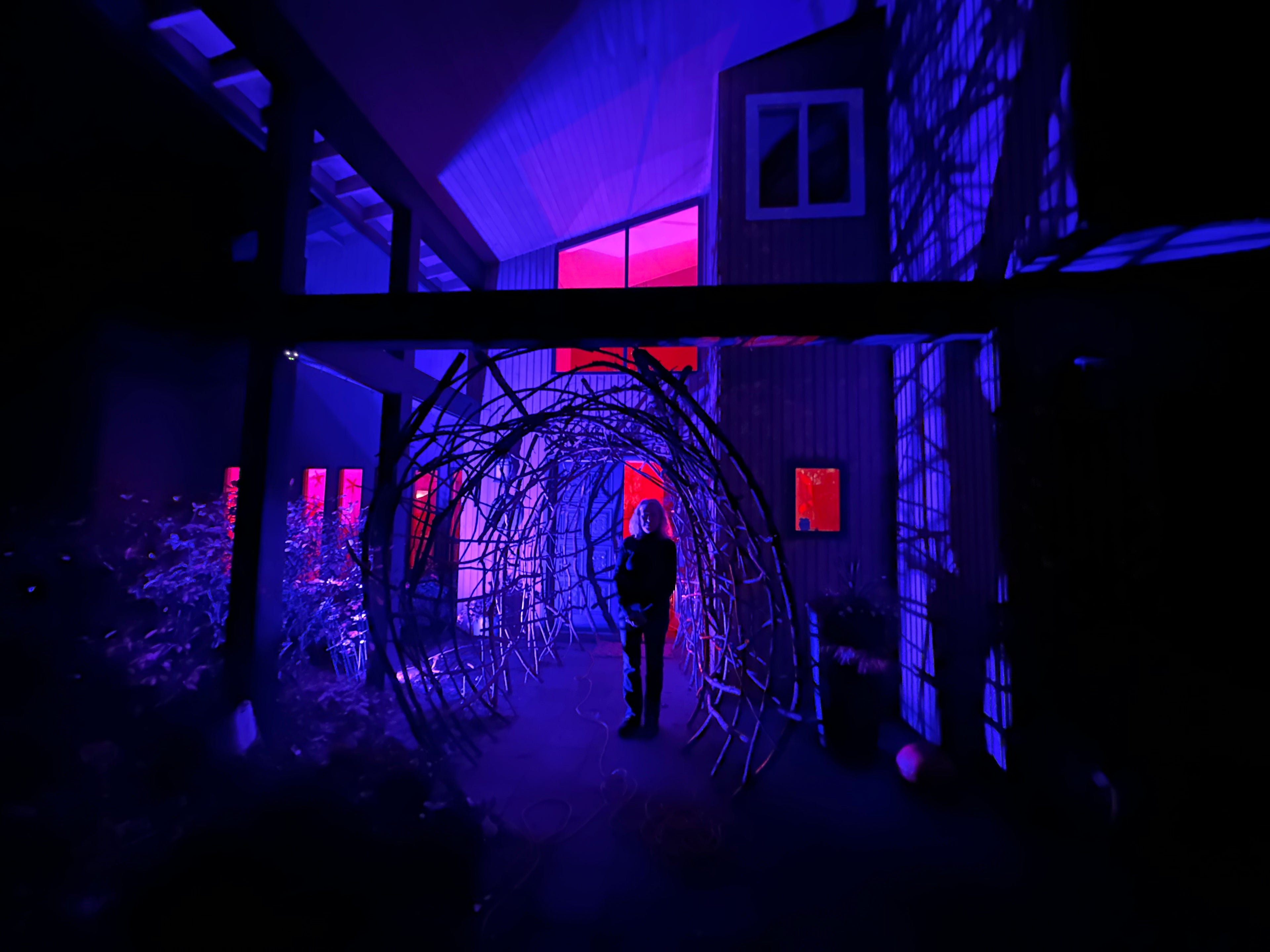 The Blair Witch Party