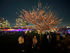 Yaletown Cherry Blossom Festival