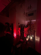 The Blair Witch Party