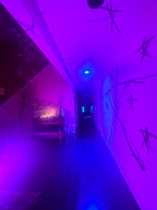 The Blair Witch Party