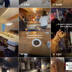 A 3x3 grid collage of video thumbnail screenshots showing family and pet moments: a decorated dining table, a dog on a leash in a kitchen, people preparing Thanksgiving dinner, a person petting a golden dog, and a dog walking down a street at night. Text overlays include engagement counts and captions like 'preparing Roman's Thanksgiving dinner' and 'Roman's immediate one of the boys.