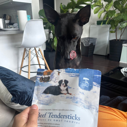 Dog looking at a package of beef tendersticks with a person holding it in a home setting.