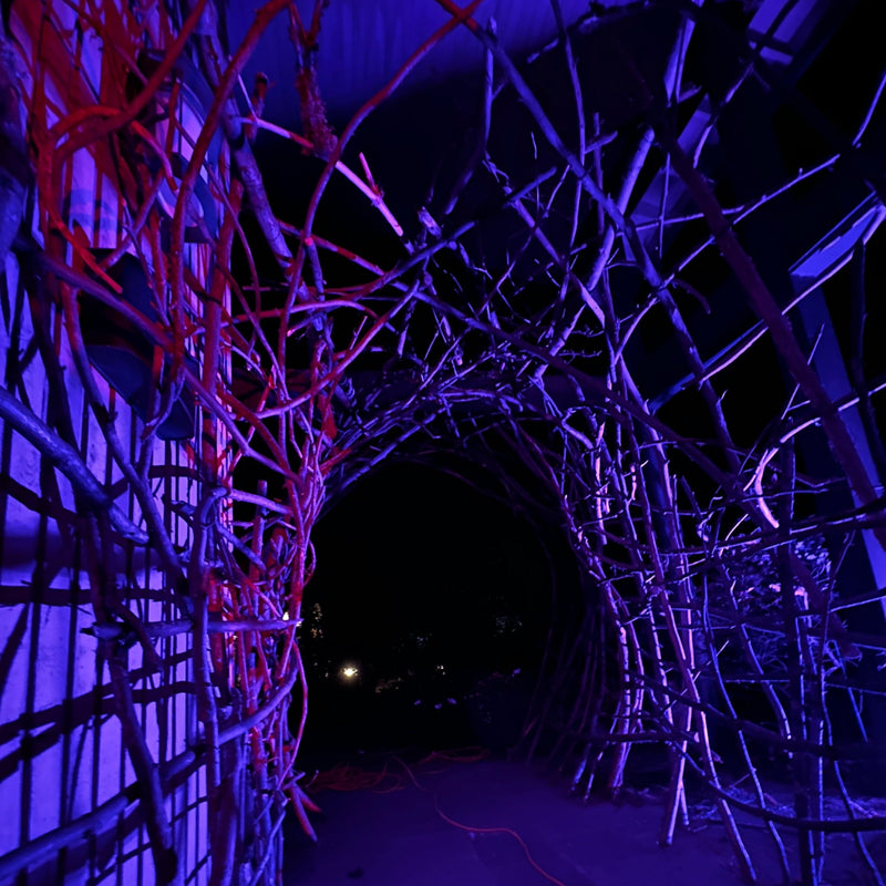 Blair Witch Party