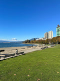 Cityscape with tall buildings, a waterfront, and green grass on a clear day.