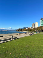 Cityscape with tall buildings, a waterfront, and green grass on a clear day.