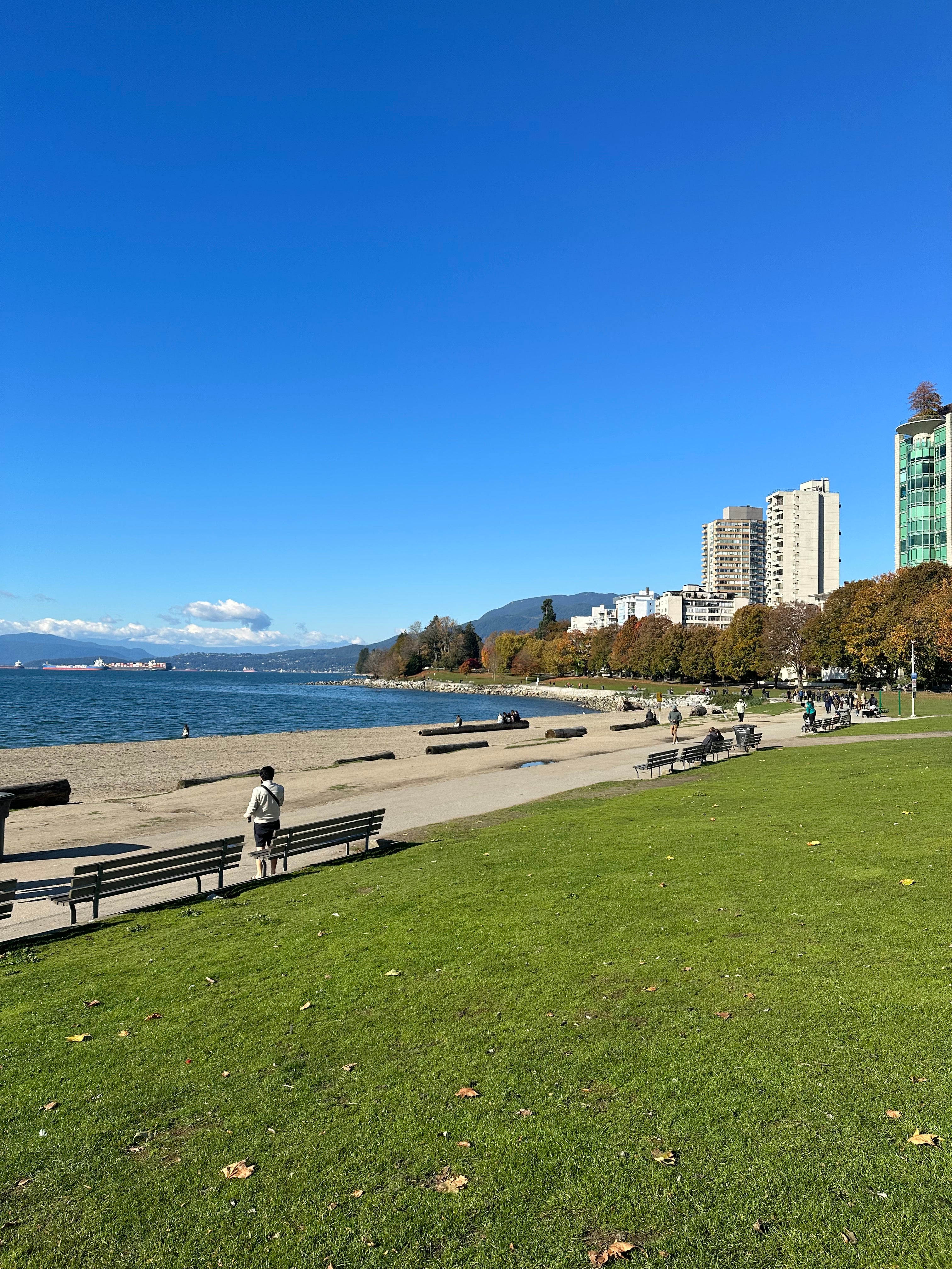 Cityscape with tall buildings, a waterfront, and green grass on a clear day.