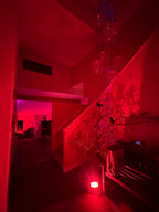 The Blair Witch Party