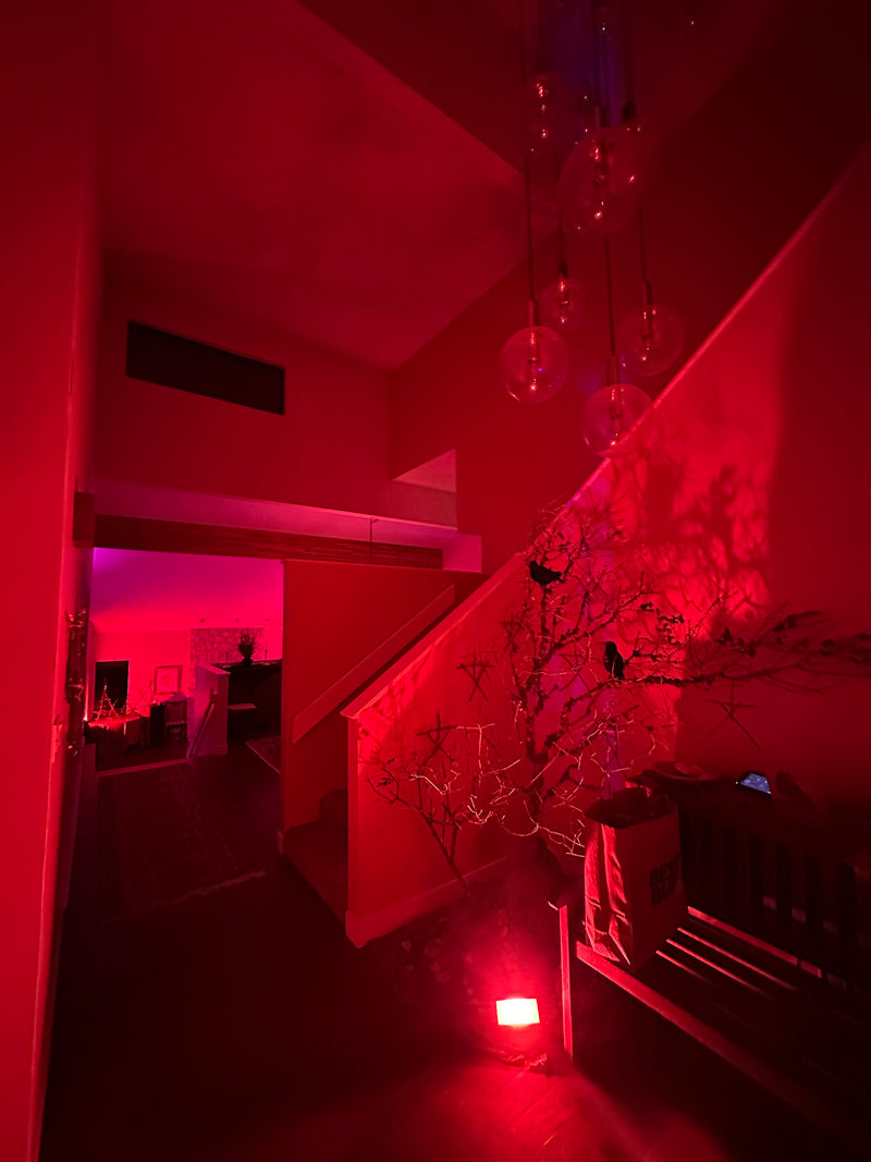 Blair Witch Party