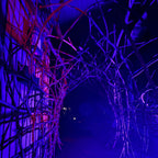The Blair Witch Party