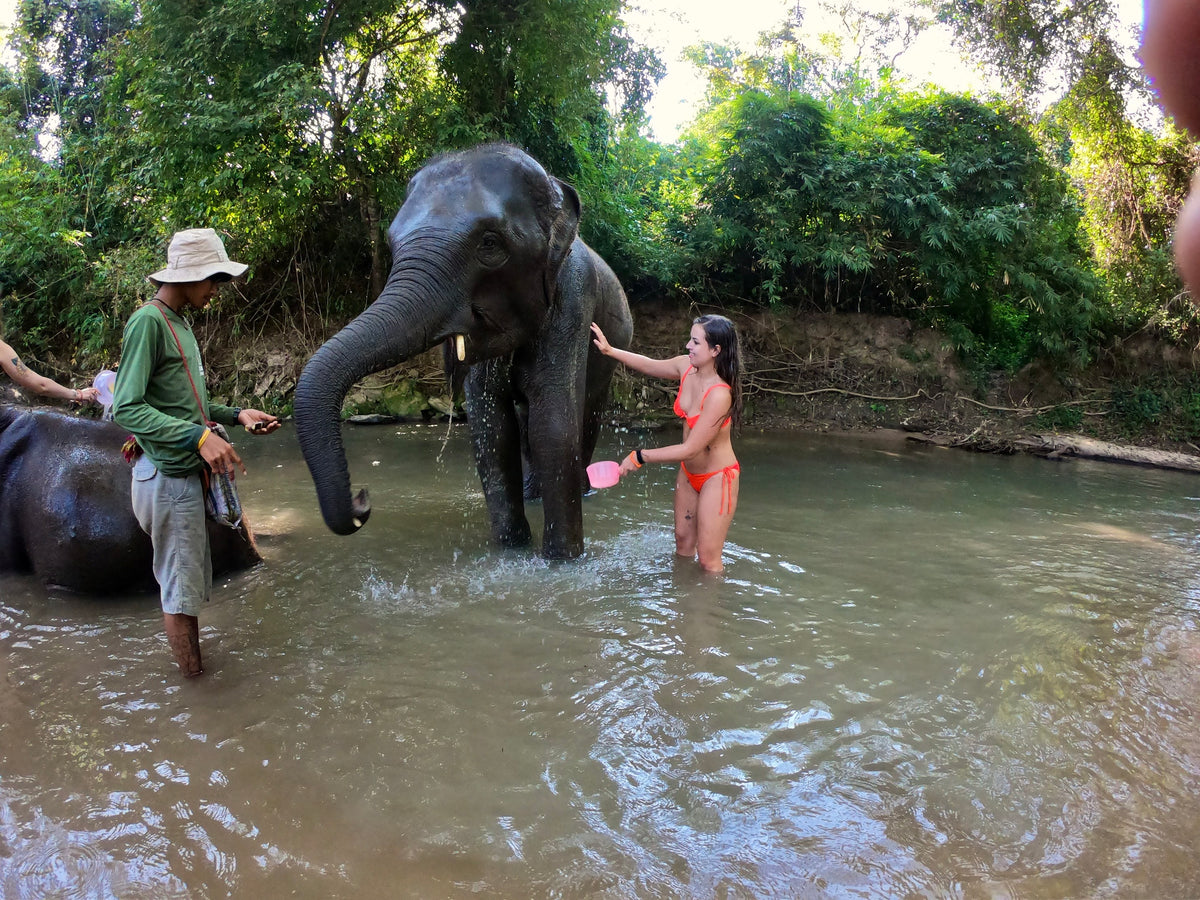 Chiang Mai Elephant Home