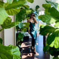 Person standing in a room with large green leaves and a mirror reflecting the interior.