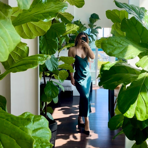 Person standing in a room with large green leaves and a mirror reflecting the interior.