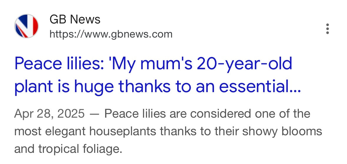 GB News