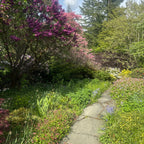 Garden with trees, flowers, and a clear blue sky