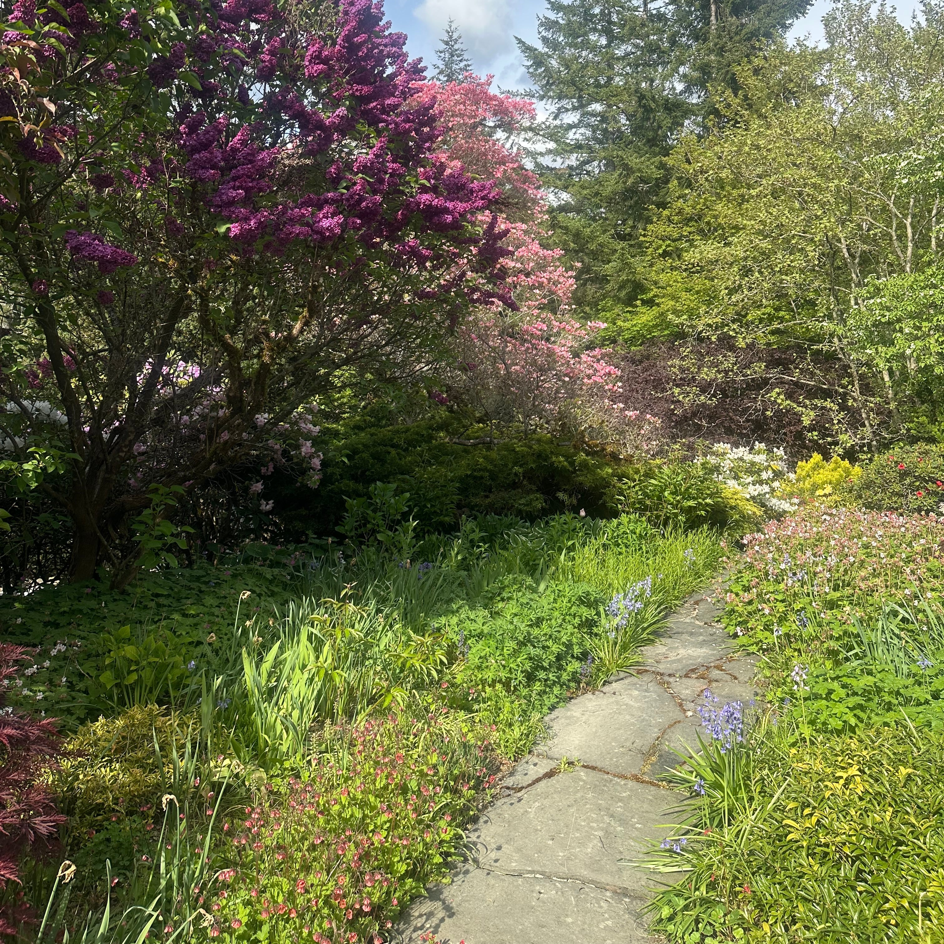 Garden with trees, flowers, and a clear blue sky