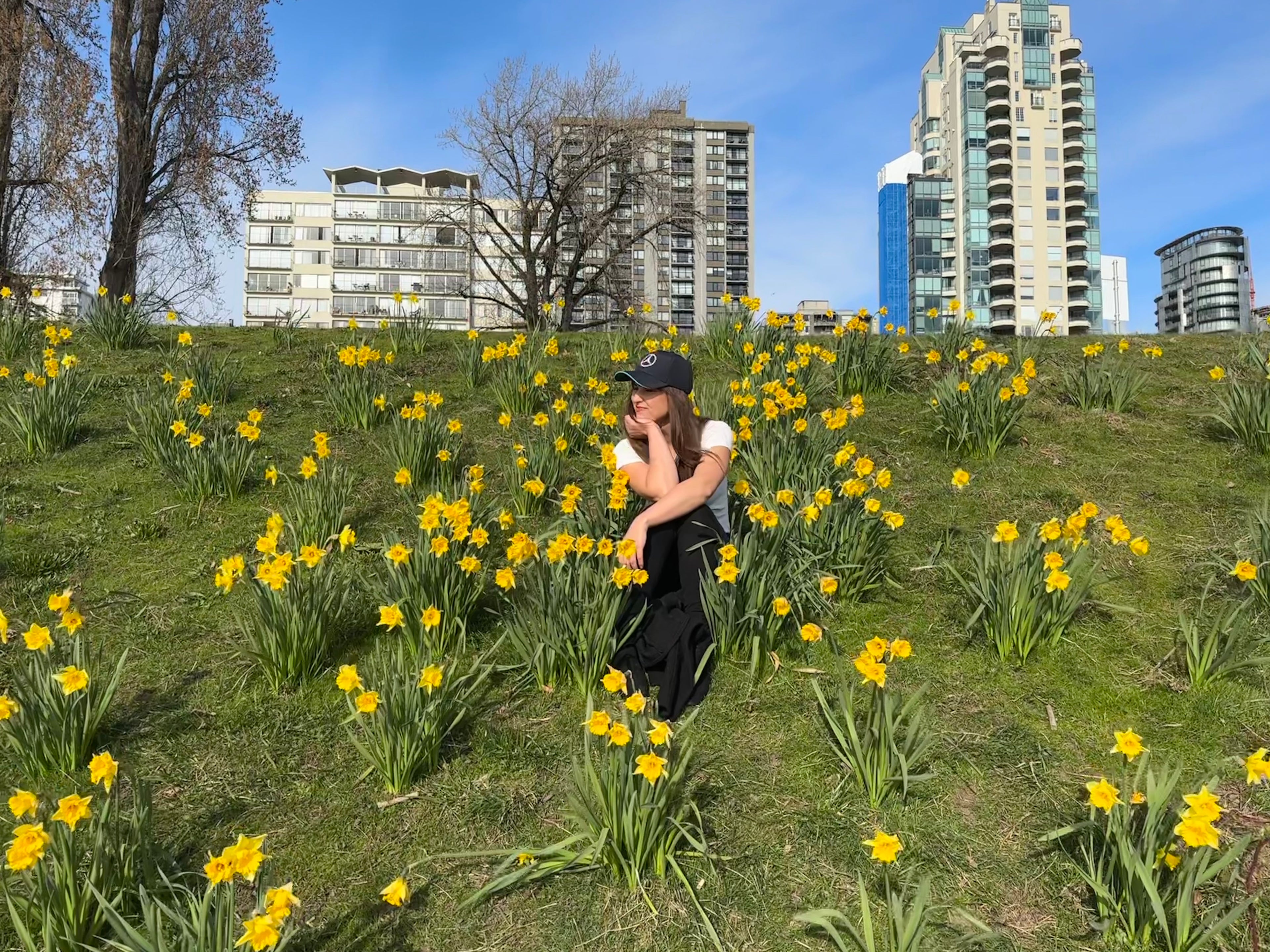 Grassy hill covered in yellow flowers with city buildings in the background