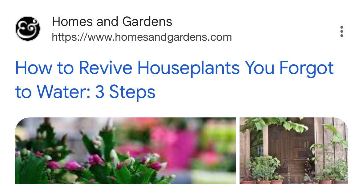 Article on reviving houseplants with images of plants and a blurred background