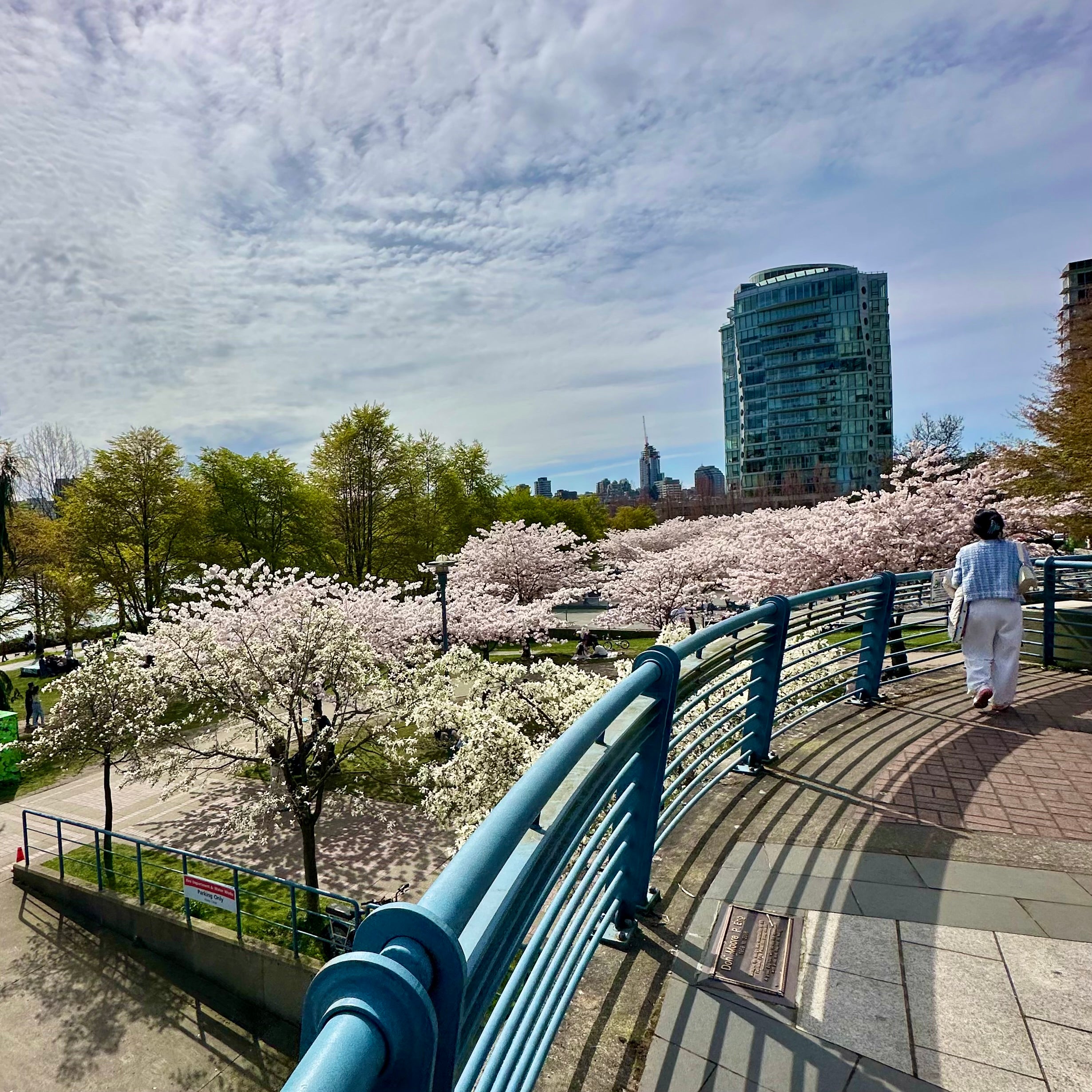 Yaletown Cherry Blossom Festival