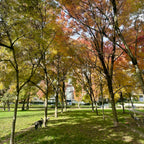 George Wainborn Park
