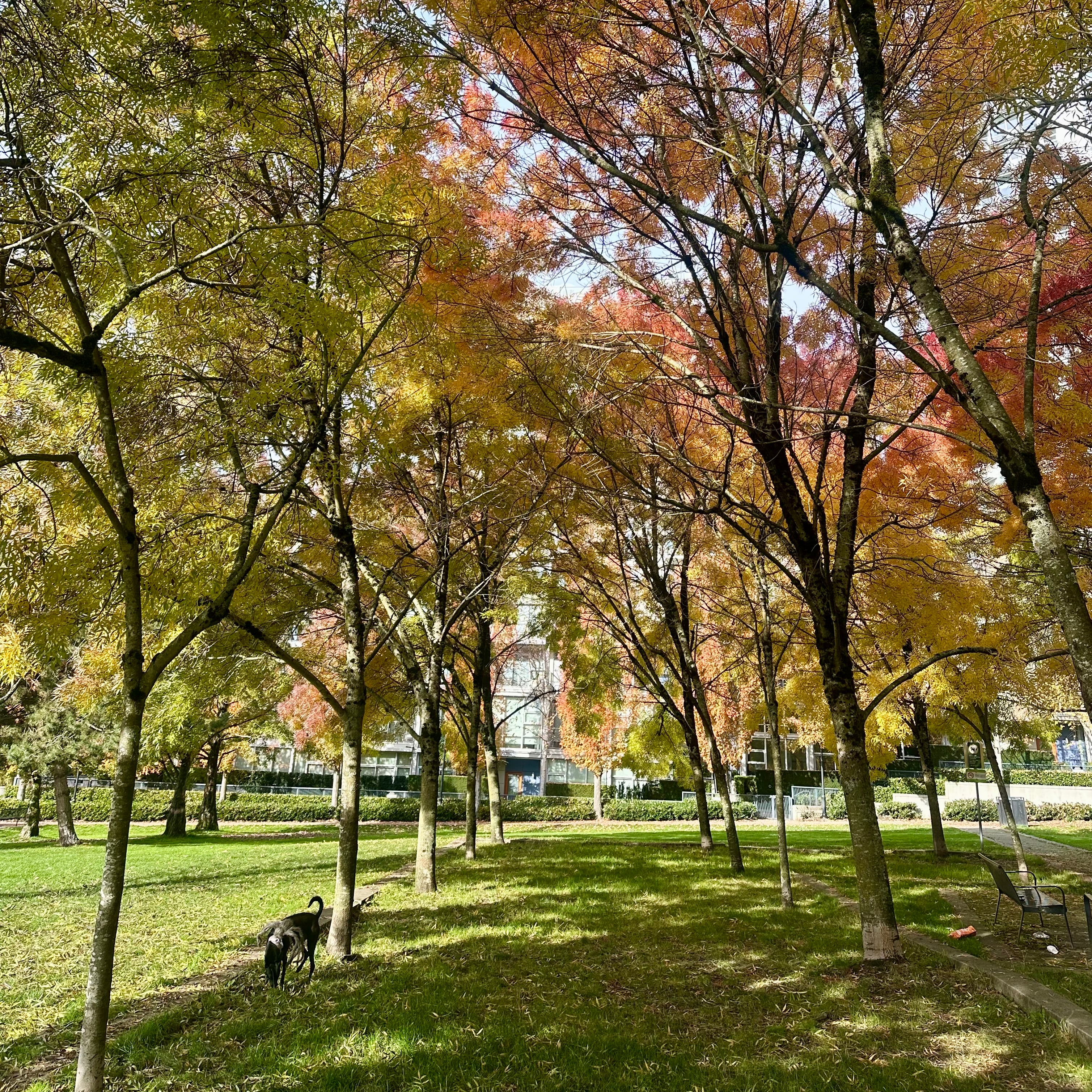 George Wainborn Park