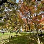 George Wainborn Park
