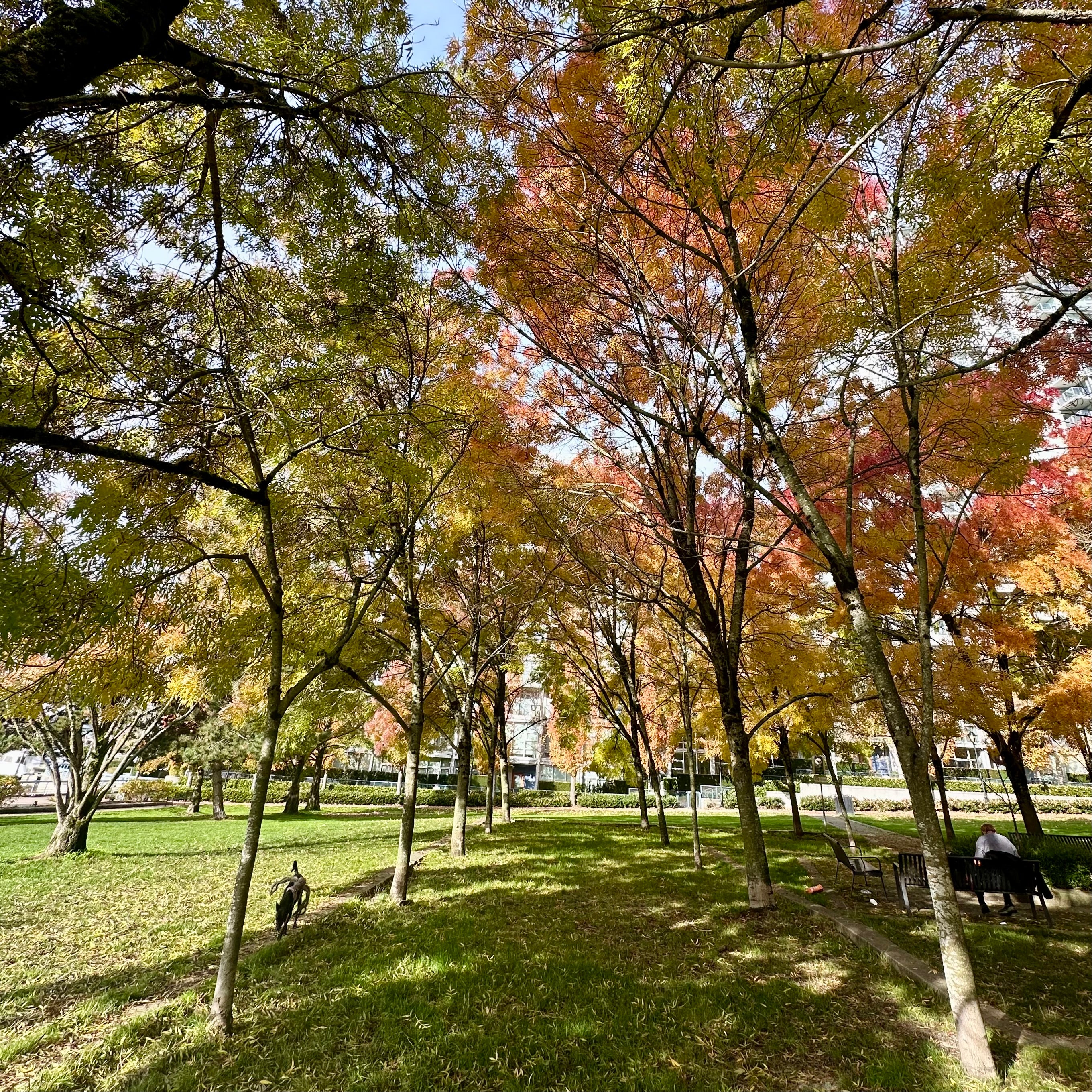George Wainborn Park