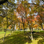 George Wainborn Park