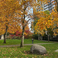 Boulder Park Path