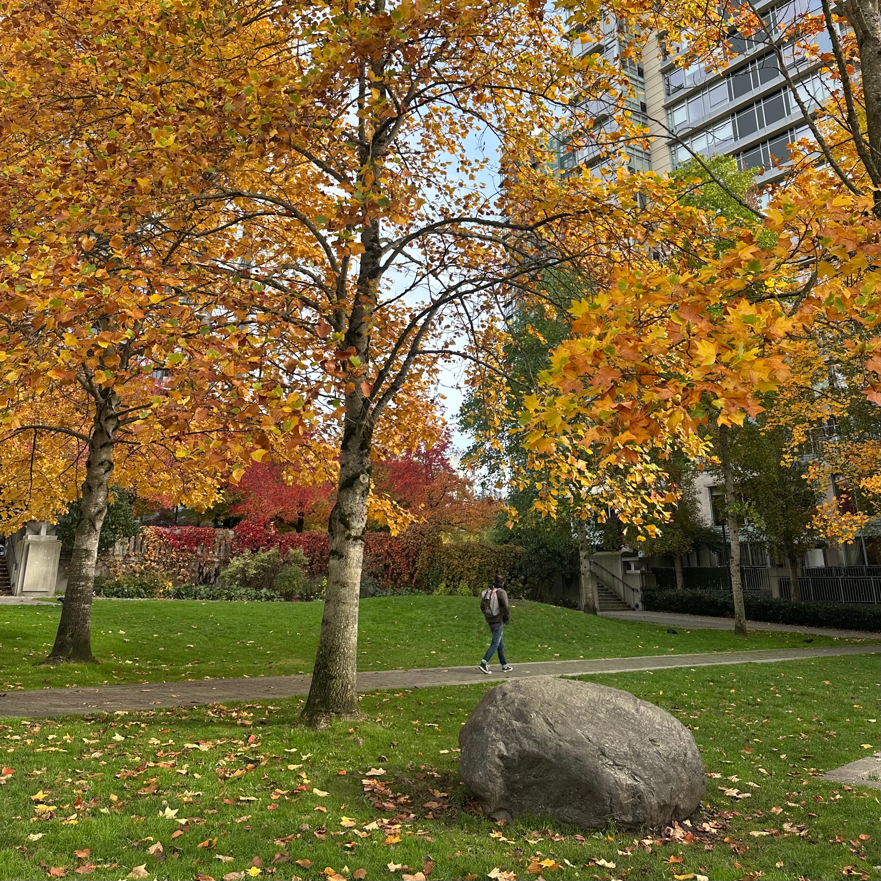 Boulder Park Path