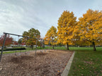 Park Swingset