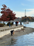 Seawall Bend Beach