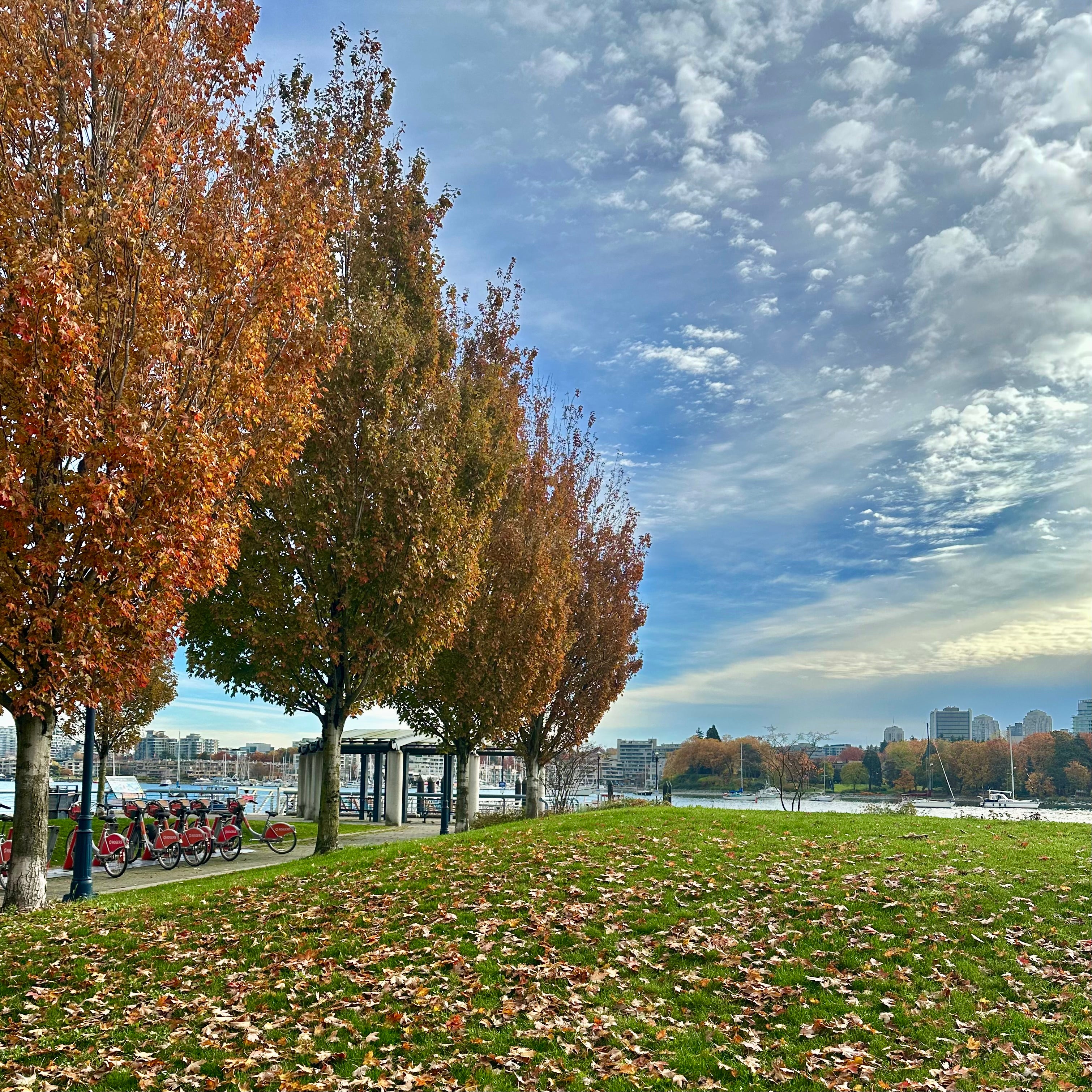 David Lam Park