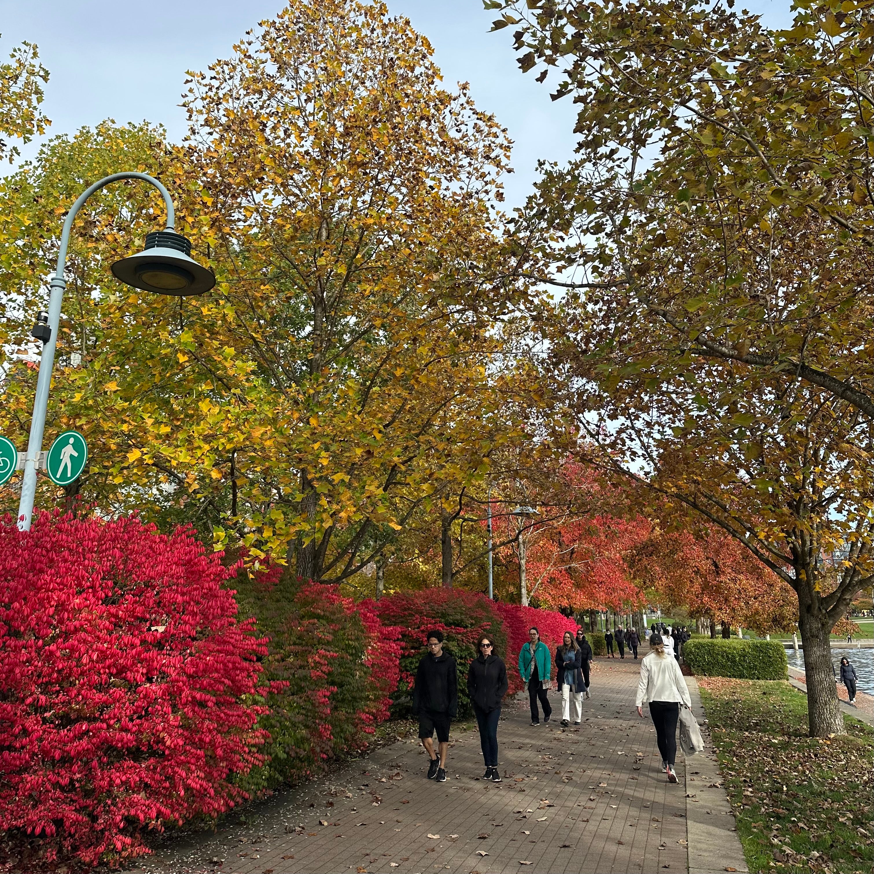 David Lam Park