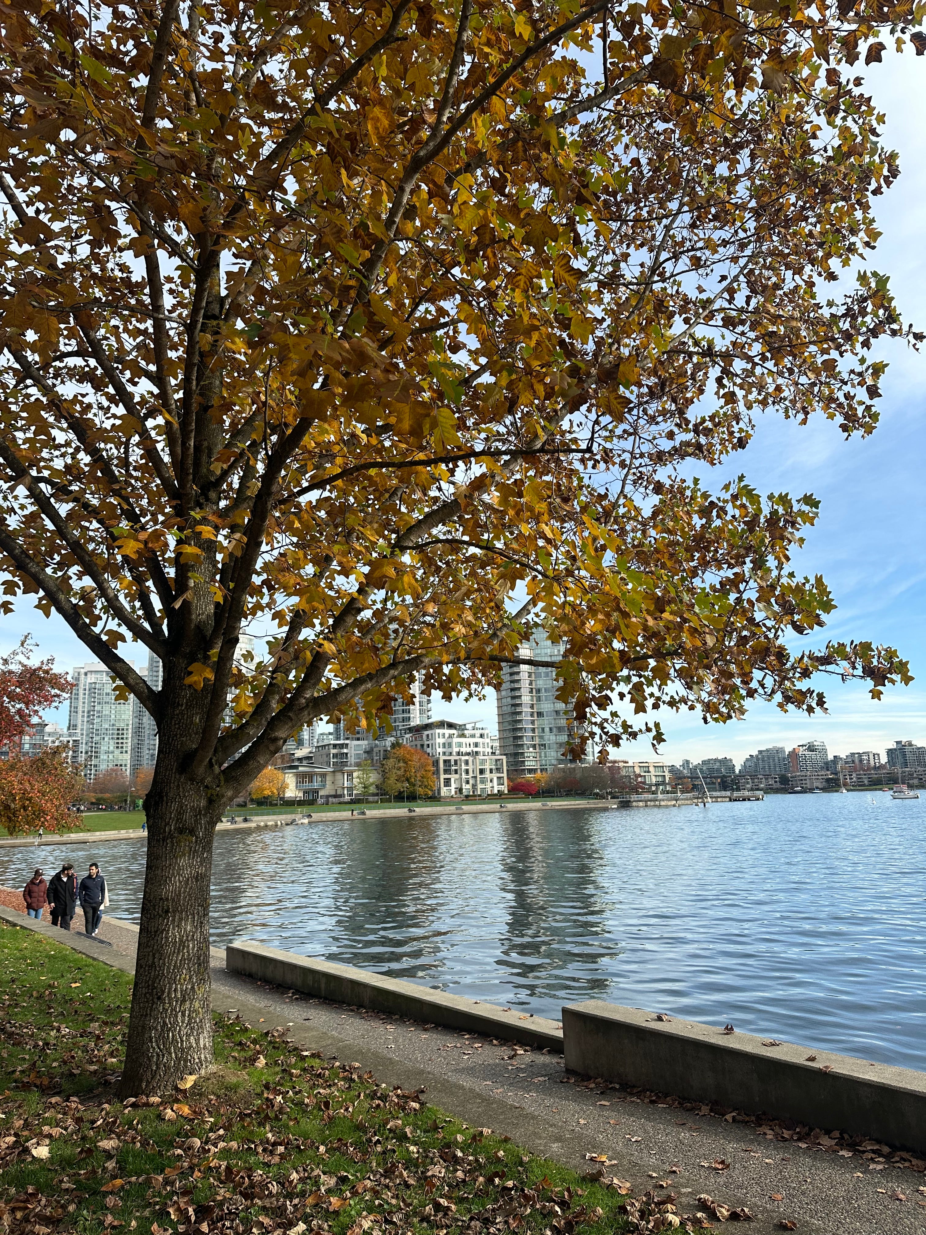 David Lam Park